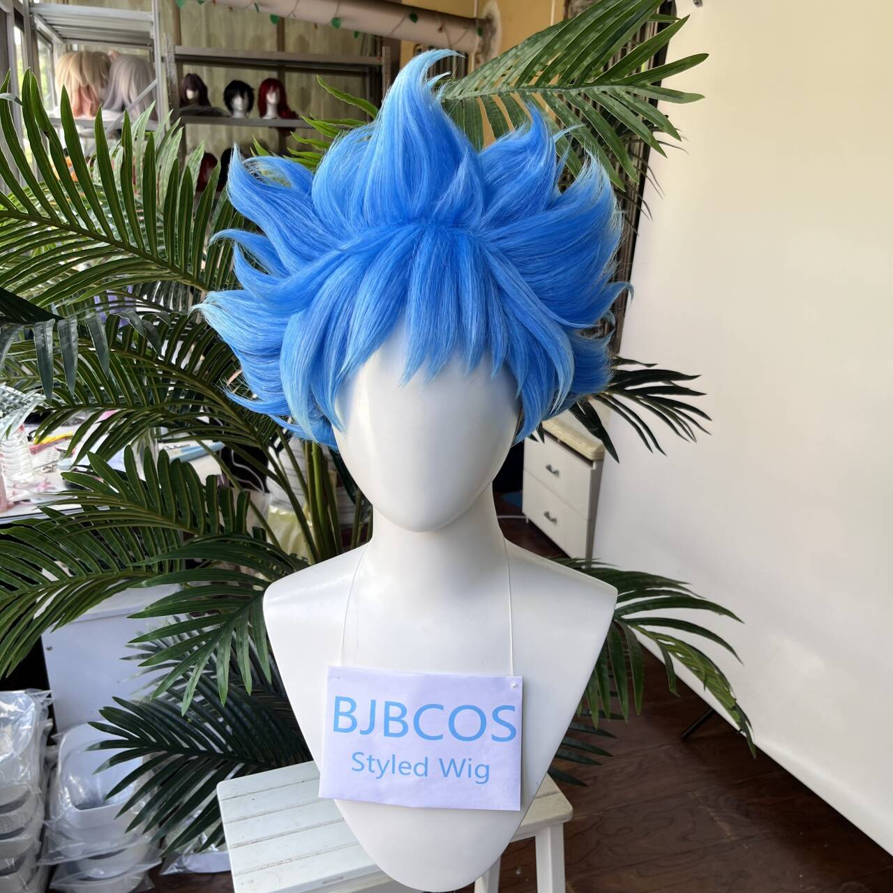 [Styled Wig]Ortho Cosplay Wig  - đánh giá và giá Men Accessories Korea
